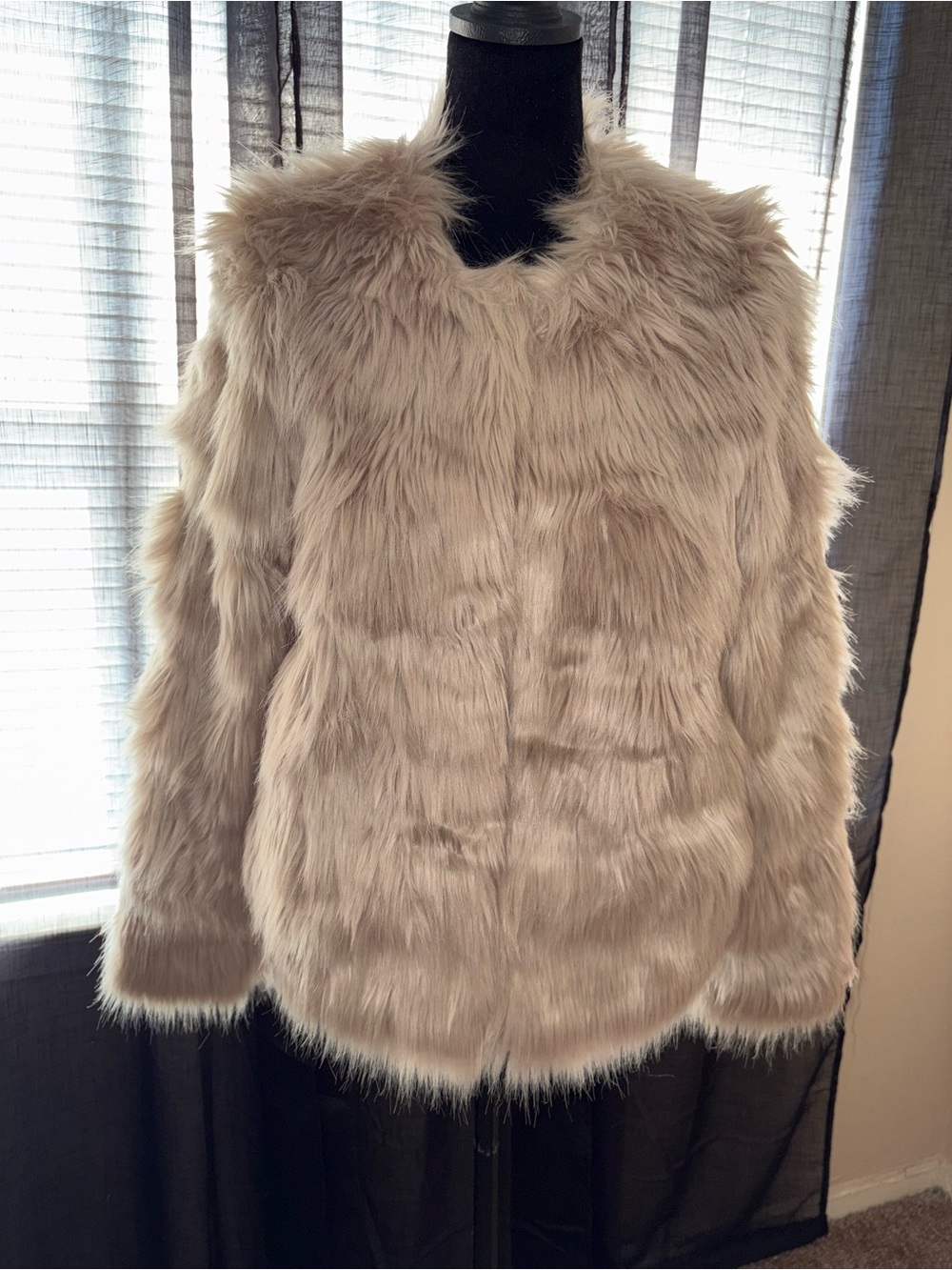 H&M Plush Faux Fur Jacket in Taupe